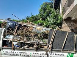 Best Construction Debris Removal  in Assumption, IL